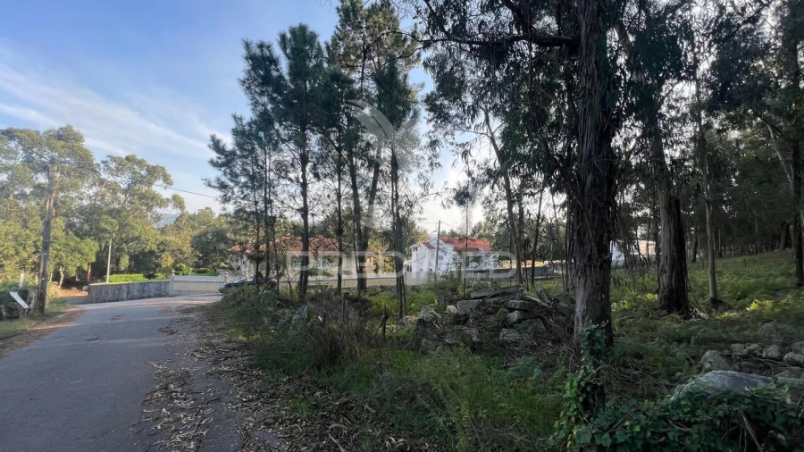 Terreno para Venda em Turiz Foto 3