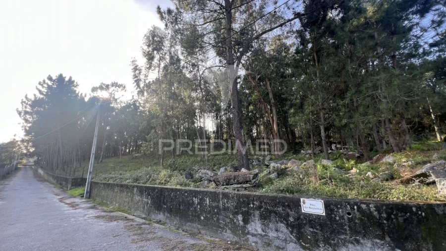 Terreno para Venda em Turiz Foto 8