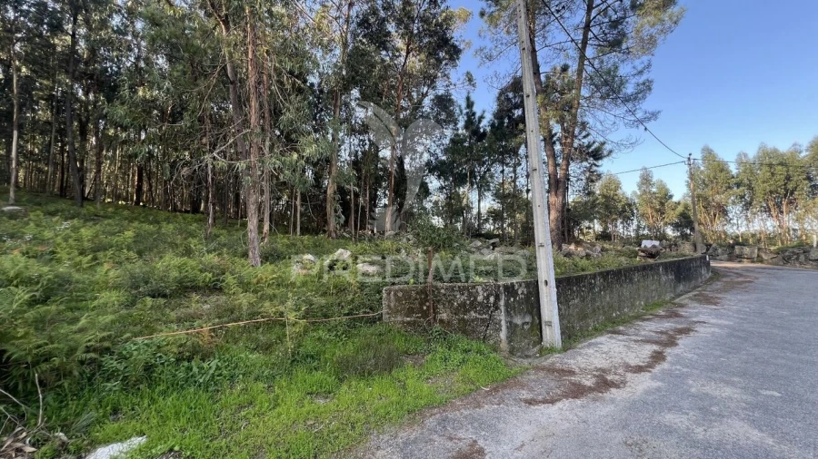 Terreno para Venda em Turiz Foto 2