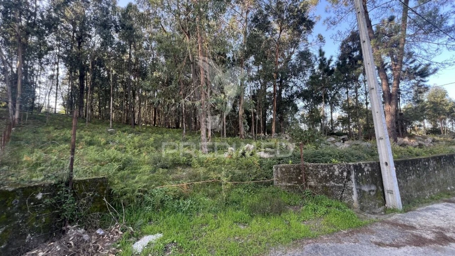 Terreno para Venda em Turiz Foto 9