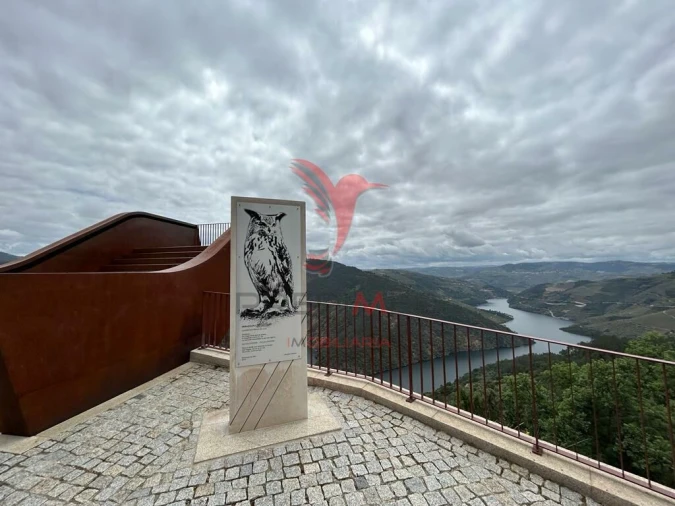 Moradia T3 para Venda em São Mamede de Ribatua Foto 3