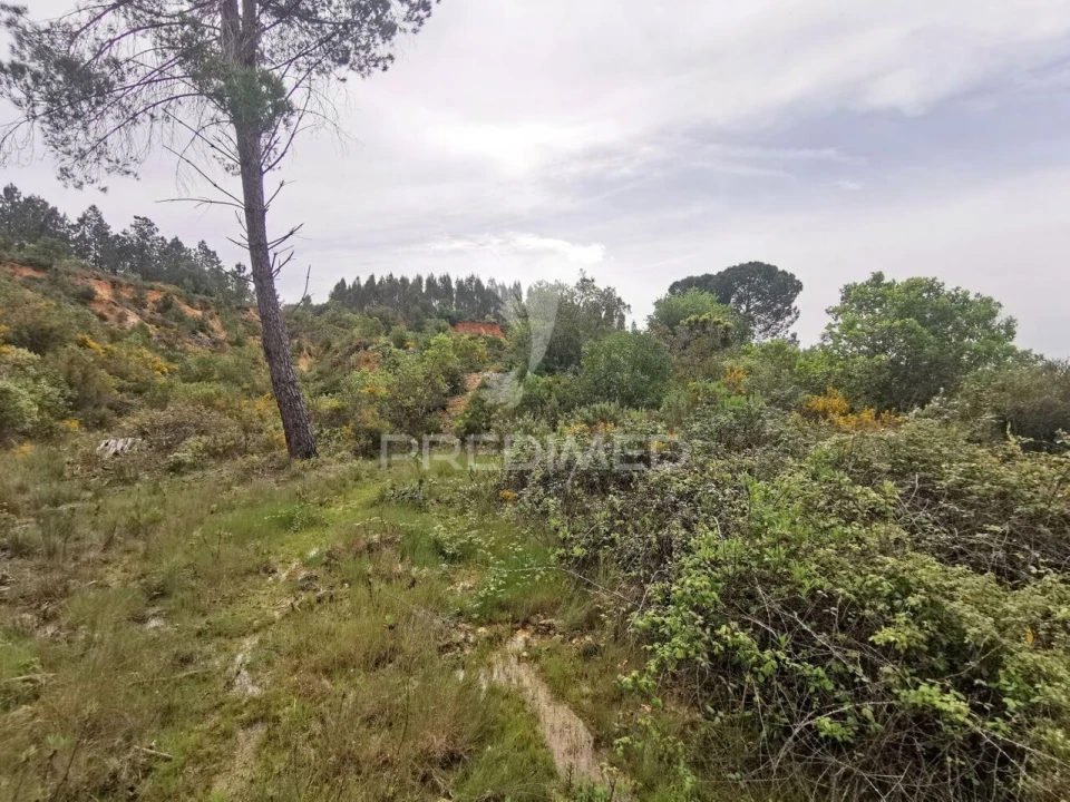 Terreno para Venda em Atalaia Foto 24