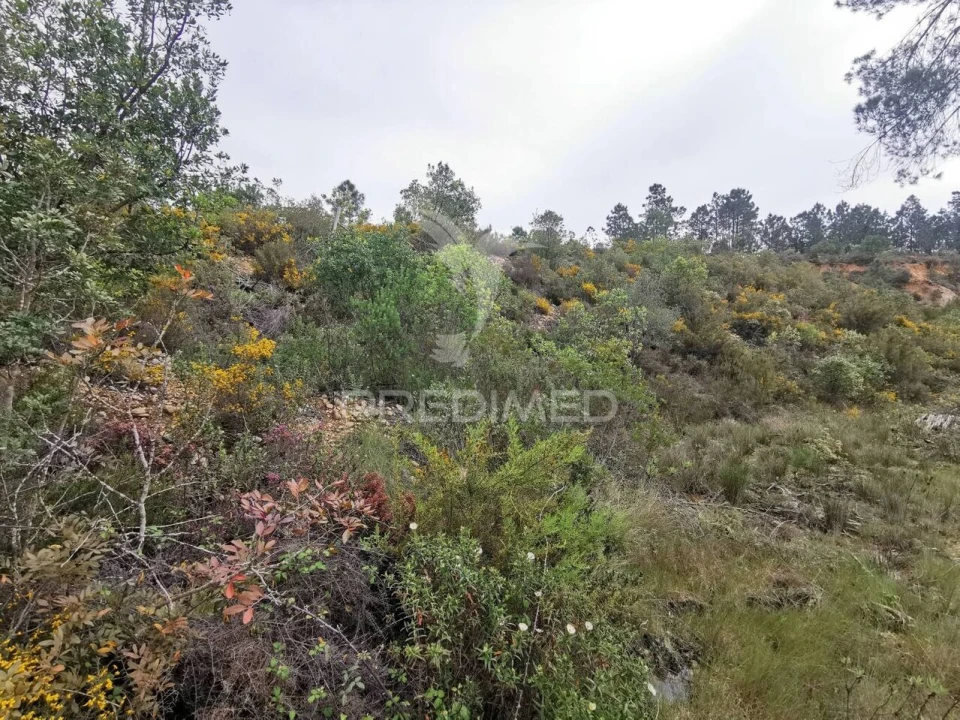 Terreno para Venda em Atalaia Foto 22