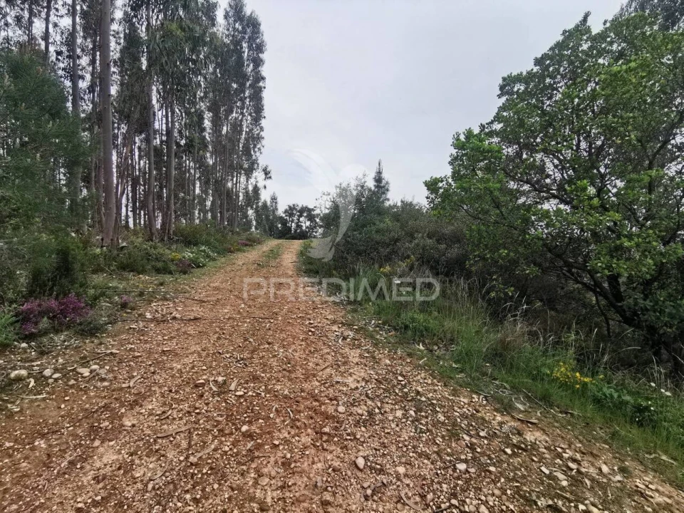 Terreno para Venda em Atalaia Foto 3