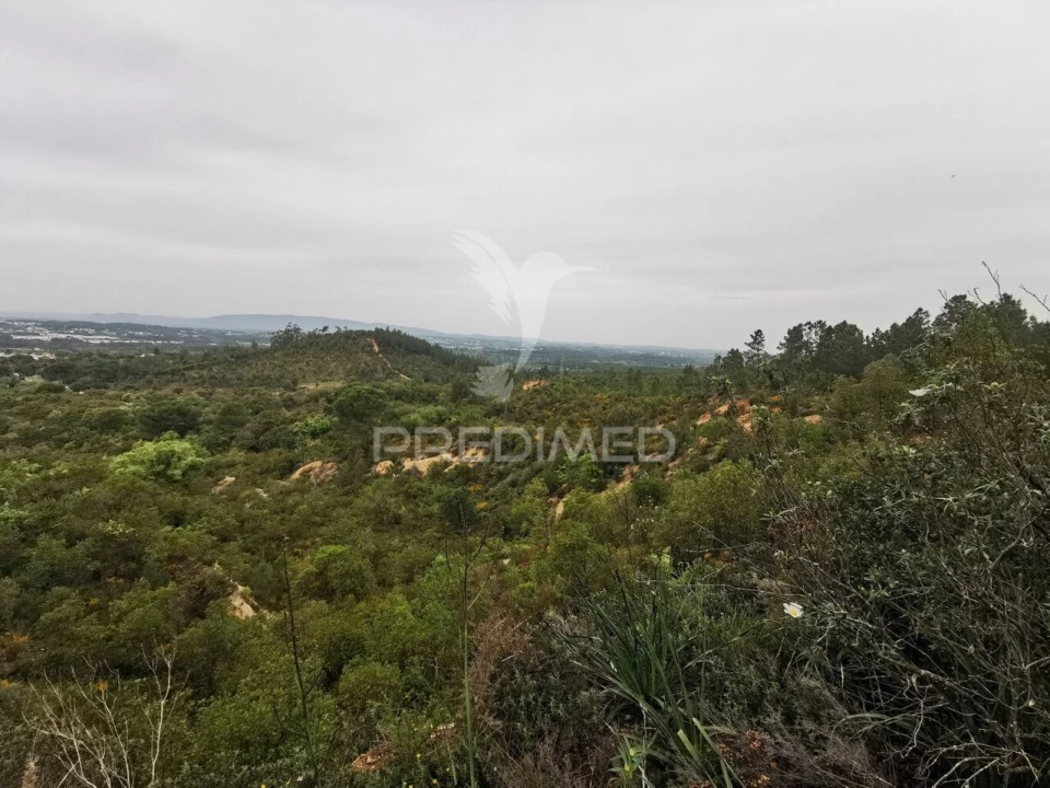 Terreno para Venda em Atalaia Foto 9