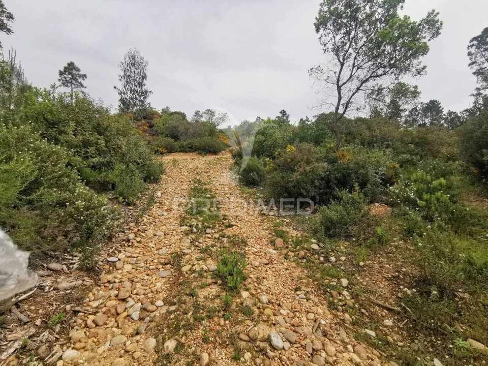 Terreno para Venda em Atalaia Foto 17