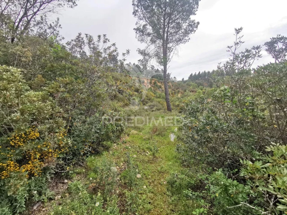 Terreno para Venda em Atalaia Foto 21