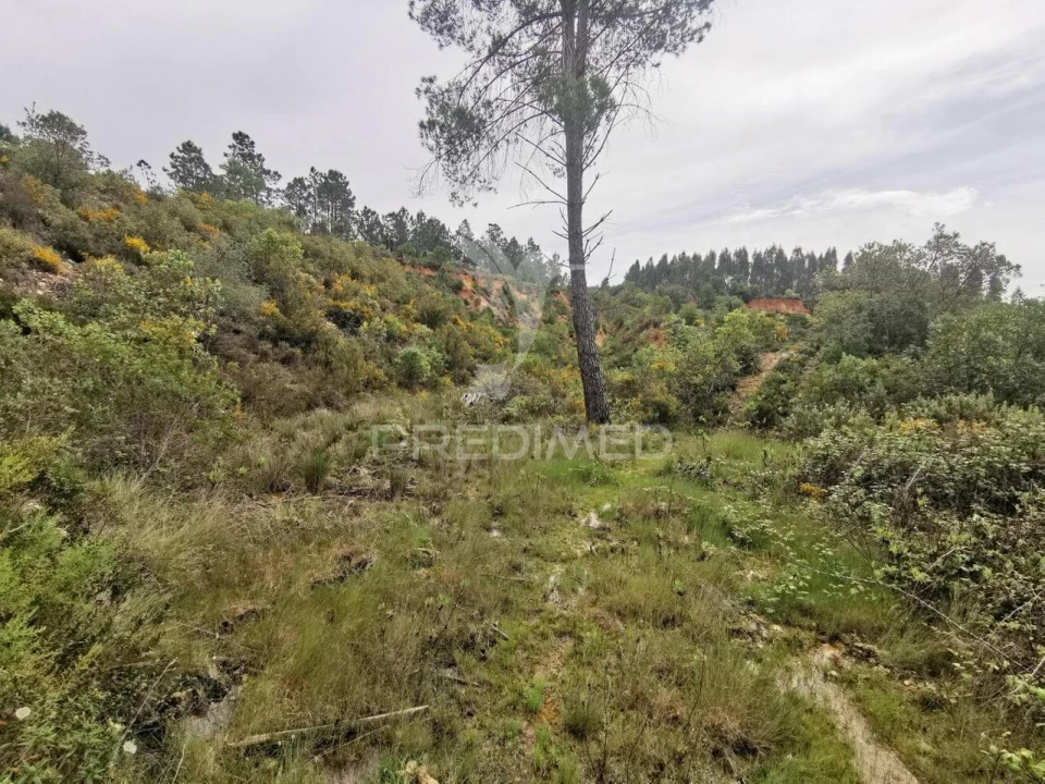 Terreno para Venda em Atalaia Foto 25