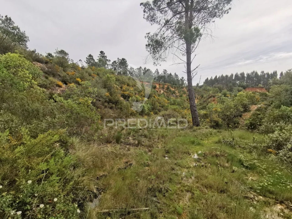 Terreno para Venda em Atalaia Foto 23