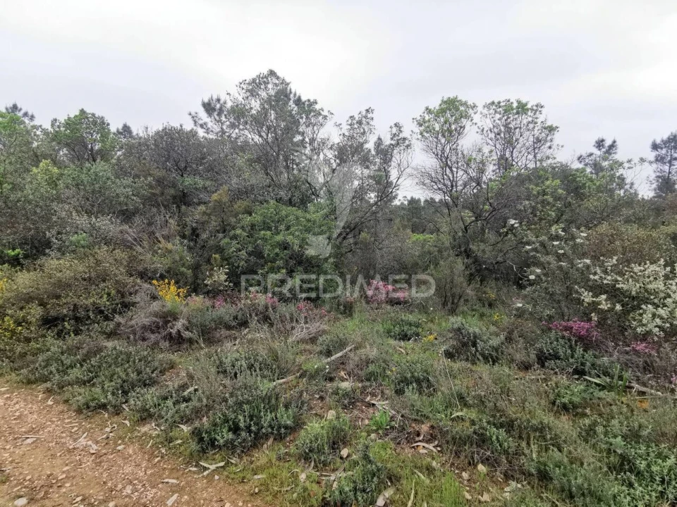 Terreno para Venda em Atalaia Foto 10