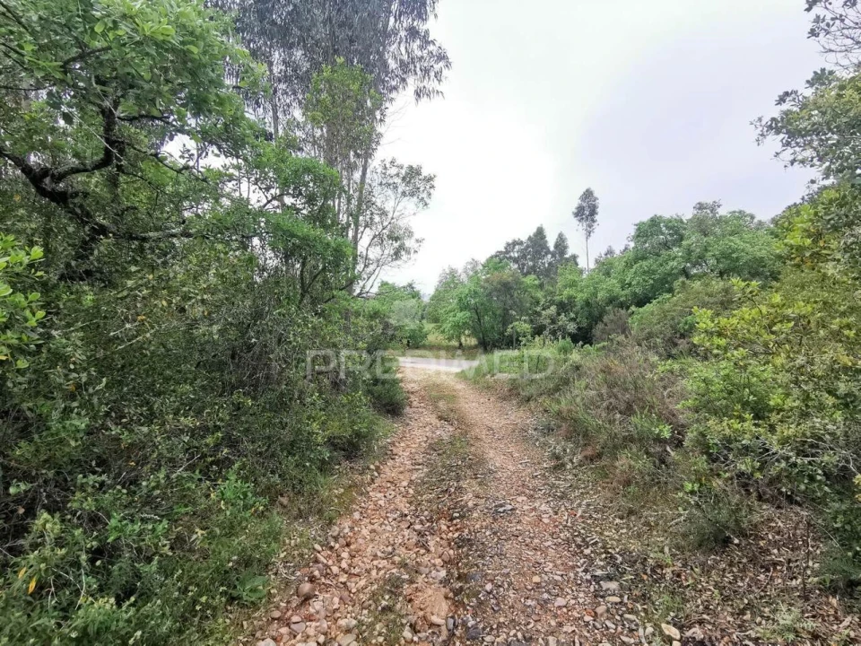 Terreno para Venda em Atalaia Foto 26