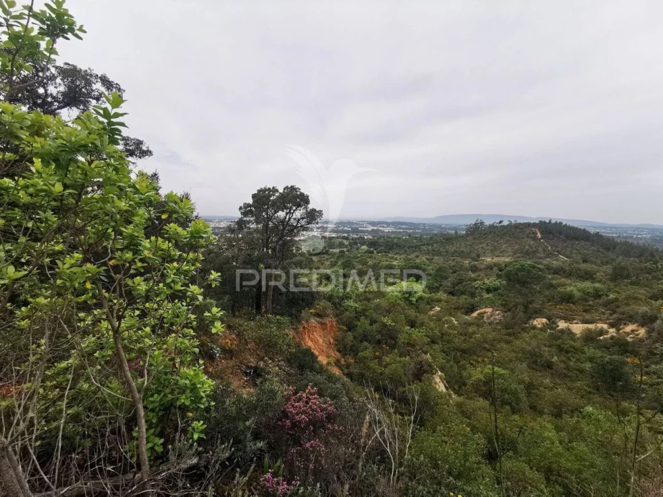 Terreno para Venda em Atalaia Foto 8