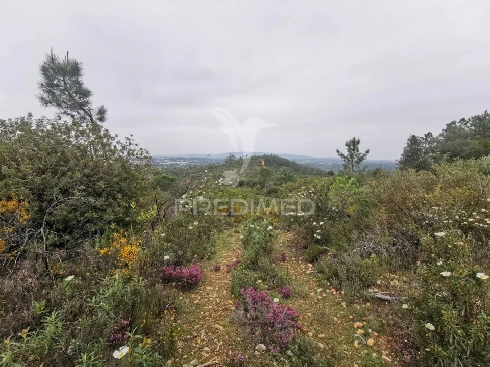 Terreno para Venda em Atalaia Foto 13