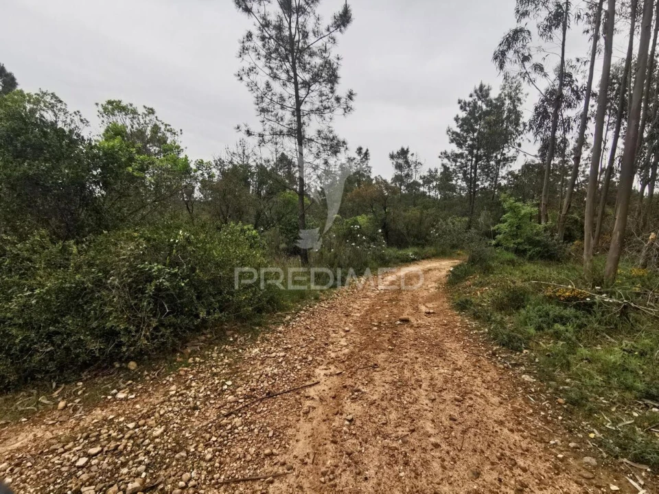 Terreno para Venda em Atalaia Foto 1