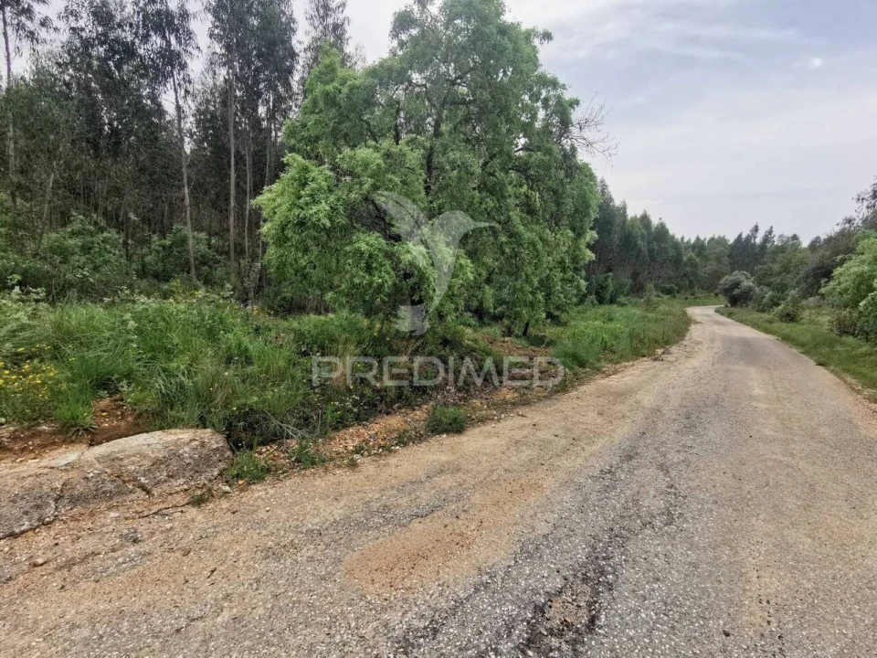 Terreno para Venda em Atalaia Foto 30