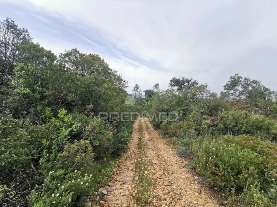 Terreno para Venda em Atalaia Foto 19