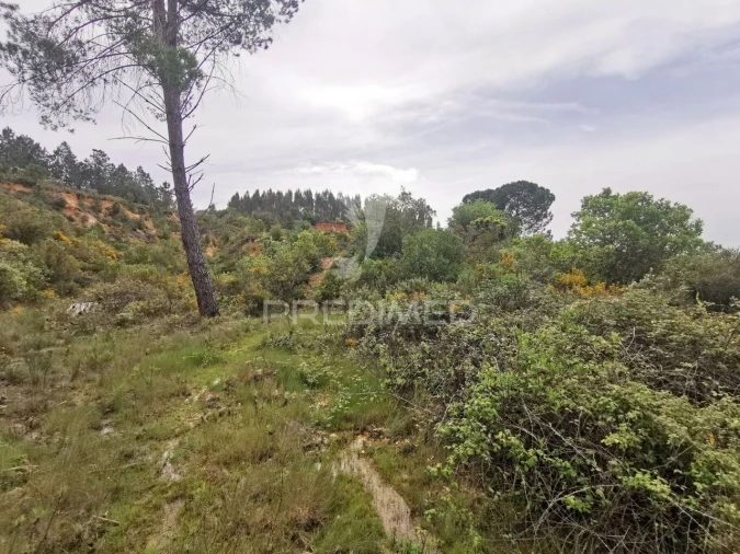 Terreno para Venda em Atalaia Foto 24