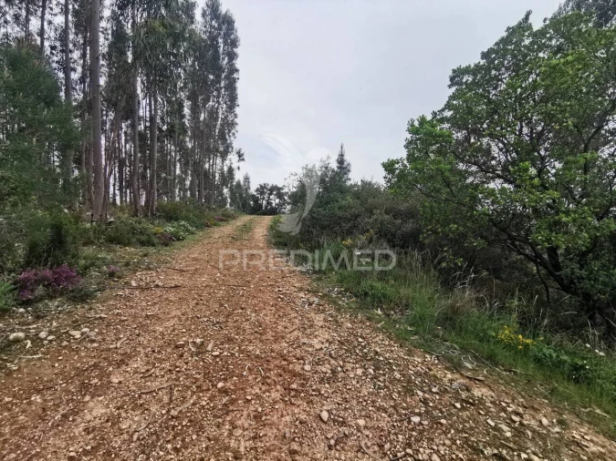 Terreno para Venda em Atalaia Foto 3