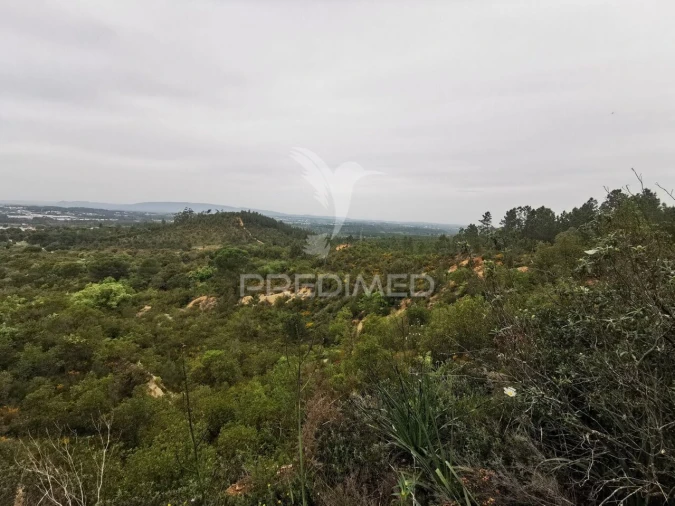 Terreno para Venda em Atalaia Foto 9