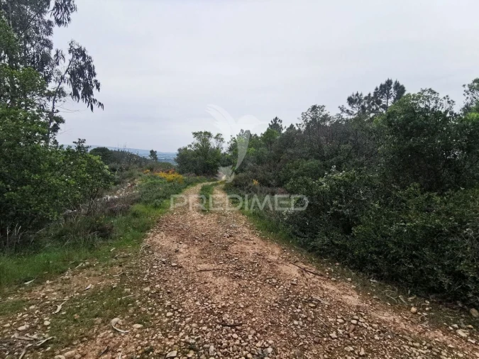 Terreno para Venda em Atalaia Foto 2