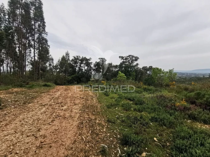 Terreno para Venda em Atalaia Foto 7