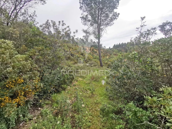 Terreno para Venda em Atalaia Foto 21