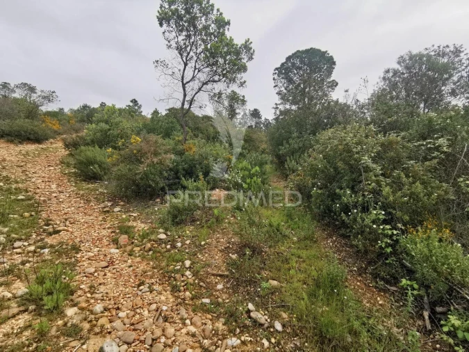 Terreno para Venda em Atalaia Foto 16