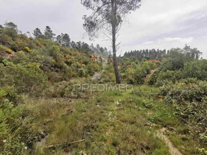 Terreno para Venda em Atalaia Foto 25