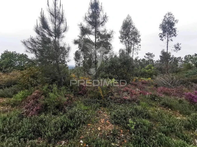 Terreno para Venda em Atalaia Foto 5