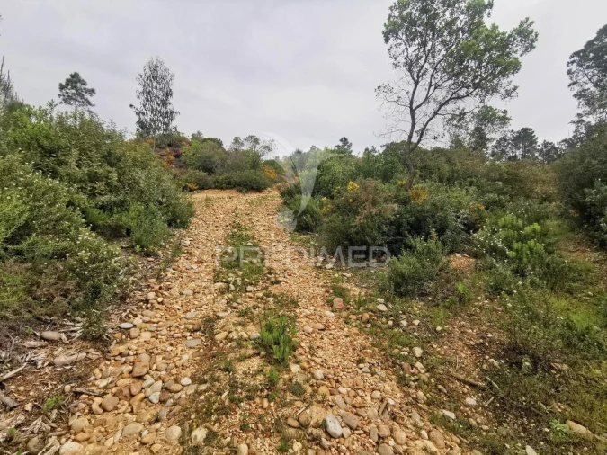 Terreno para Venda em Atalaia Foto 18