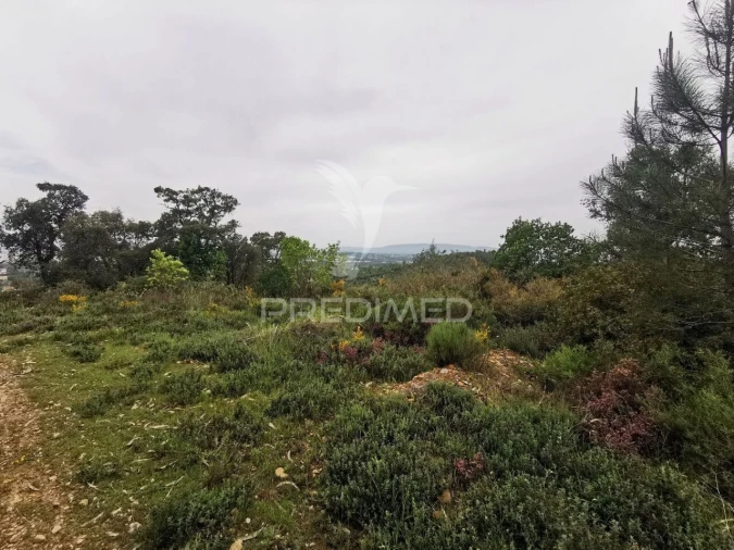 Terreno para Venda em Atalaia Foto 6