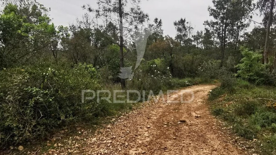 Terreno para Venda em Atalaia