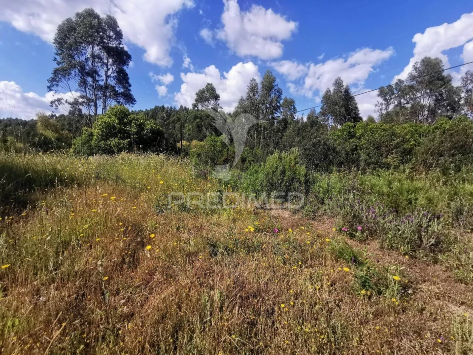 Terreno para Venda em Praia do Ribatejo Foto 34