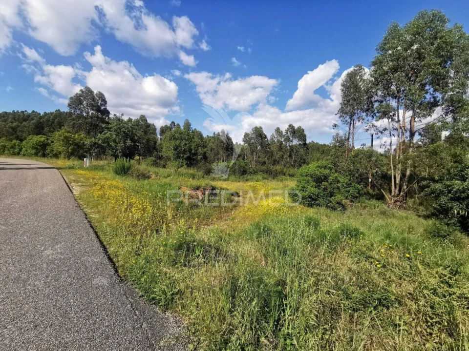 Terreno para Venda em Praia do Ribatejo Foto 1
