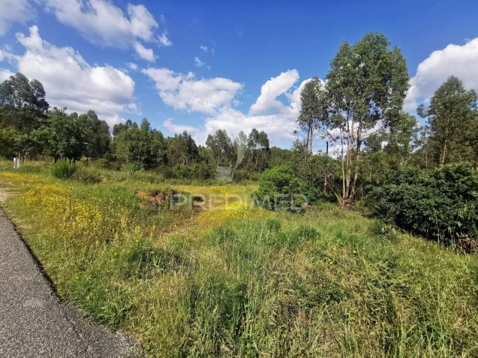 Terreno para Venda em Praia do Ribatejo Foto 2