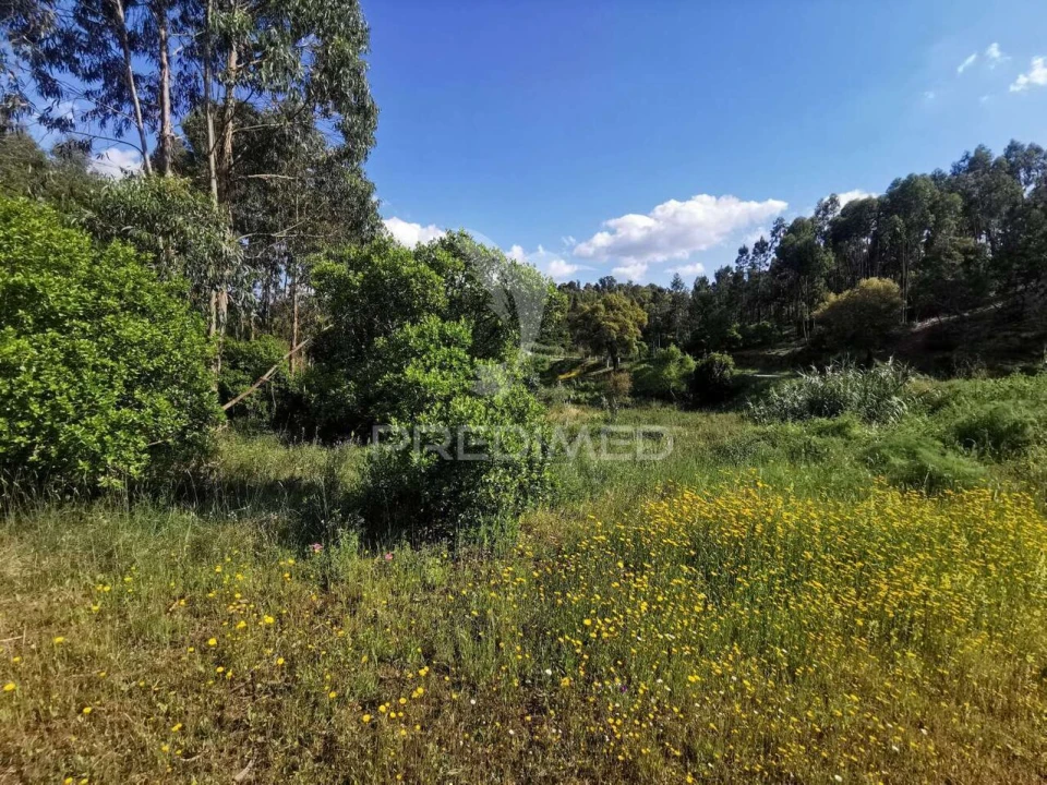 Terreno para Venda em Praia do Ribatejo Foto 30