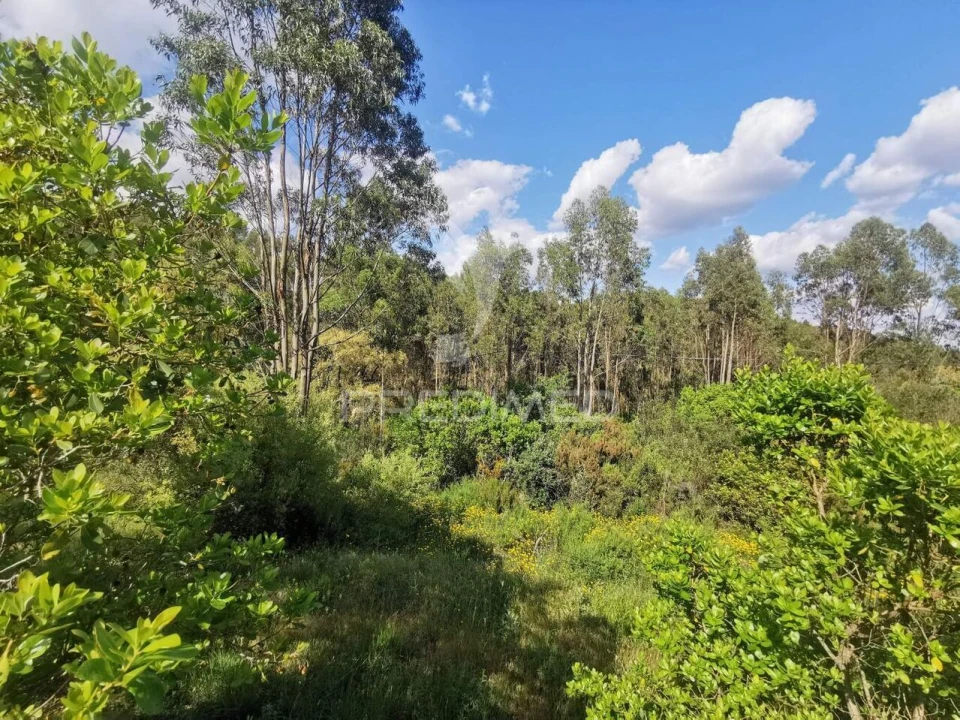 Terreno para Venda em Praia do Ribatejo Foto 24
