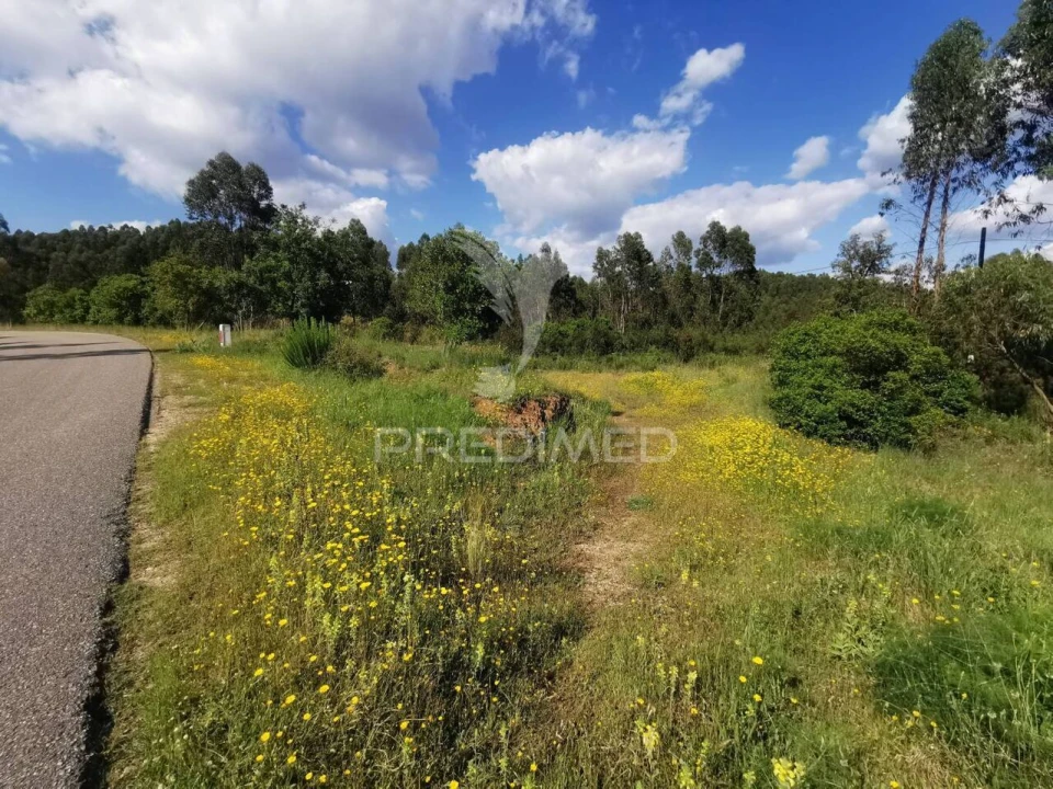 Terreno para Venda em Praia do Ribatejo Foto 5