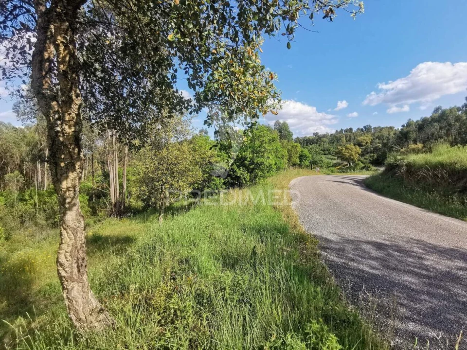 Terreno para Venda em Praia do Ribatejo Foto 23