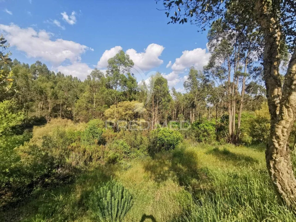 Terreno para Venda em Praia do Ribatejo Foto 21