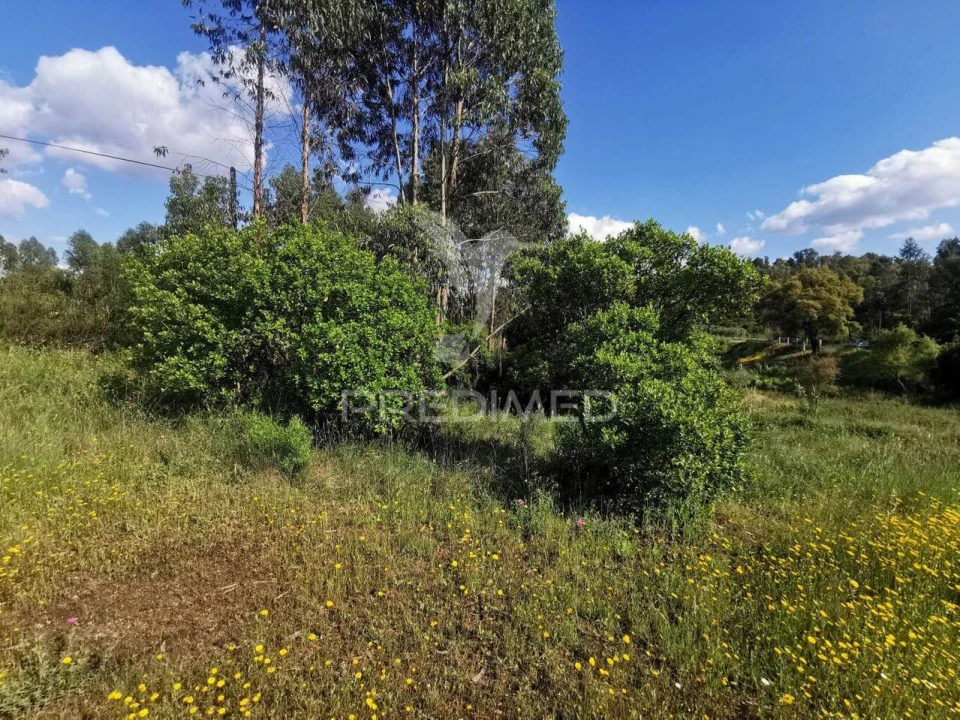 Terreno para Venda em Praia do Ribatejo Foto 29