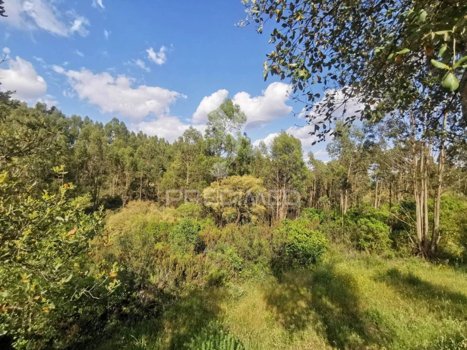 Terreno para Venda em Praia do Ribatejo Foto 20