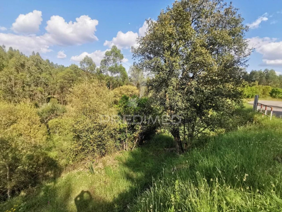 Terreno para Venda em Praia do Ribatejo Foto 18