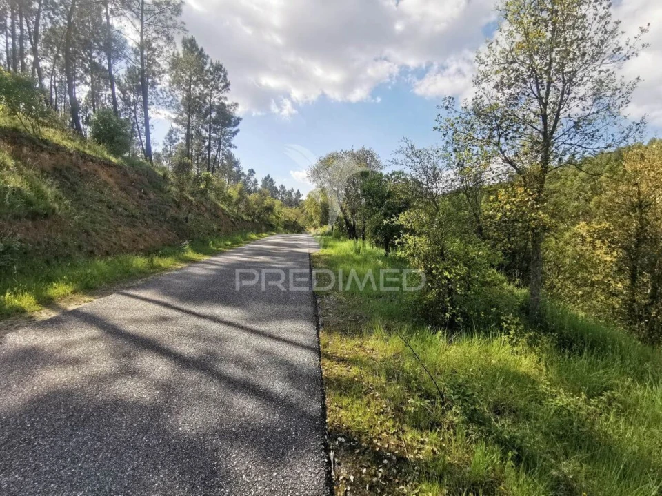 Terreno para Venda em Praia do Ribatejo Foto 9