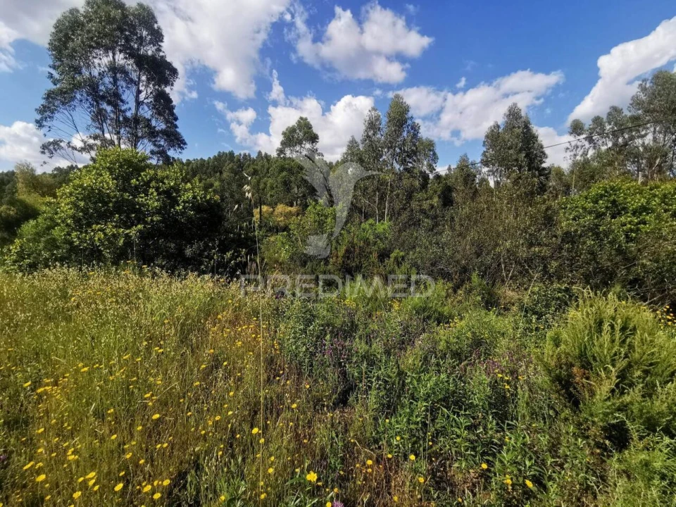 Terreno para Venda em Praia do Ribatejo Foto 32