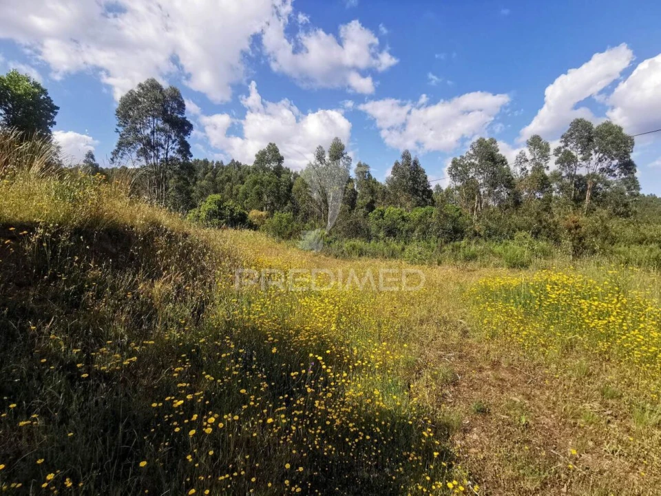 Terreno para Venda em Praia do Ribatejo Foto 27
