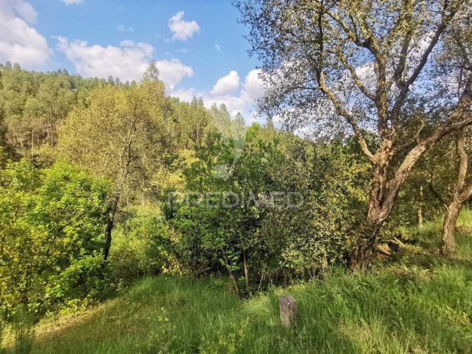 Terreno para Venda em Praia do Ribatejo Foto 12