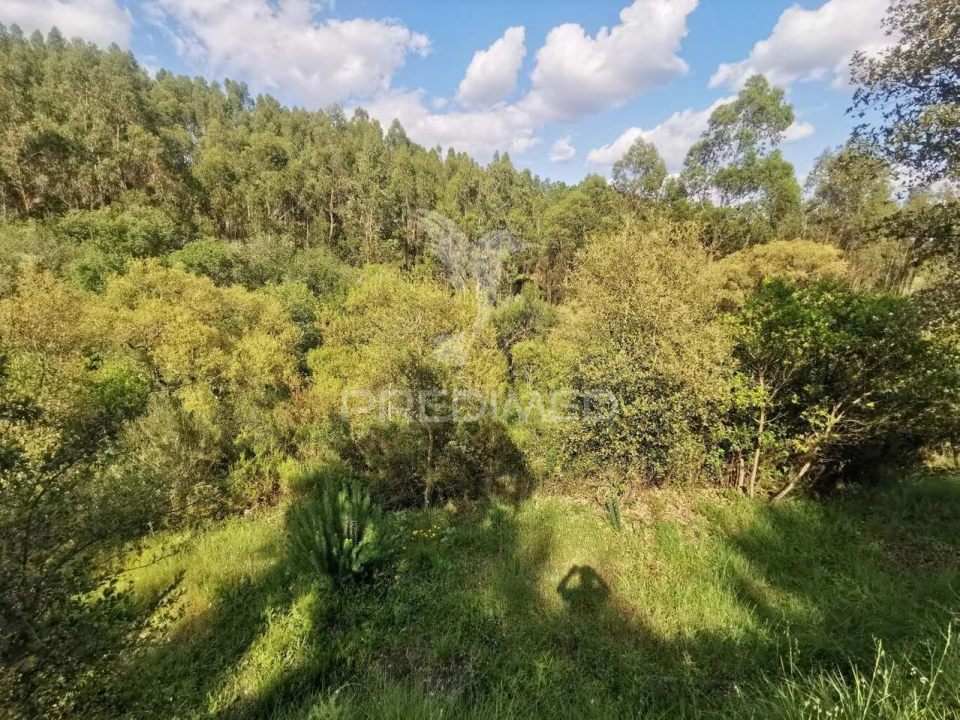 Terreno para Venda em Praia do Ribatejo Foto 16