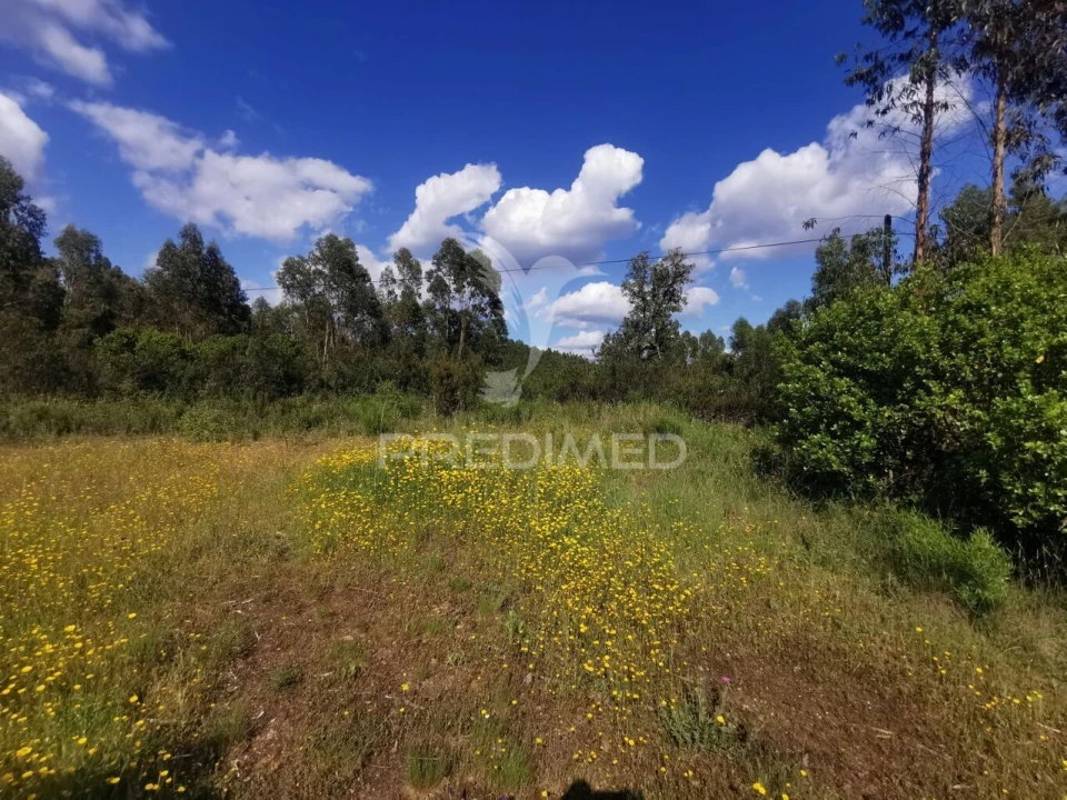 Terreno para Venda em Praia do Ribatejo Foto 28