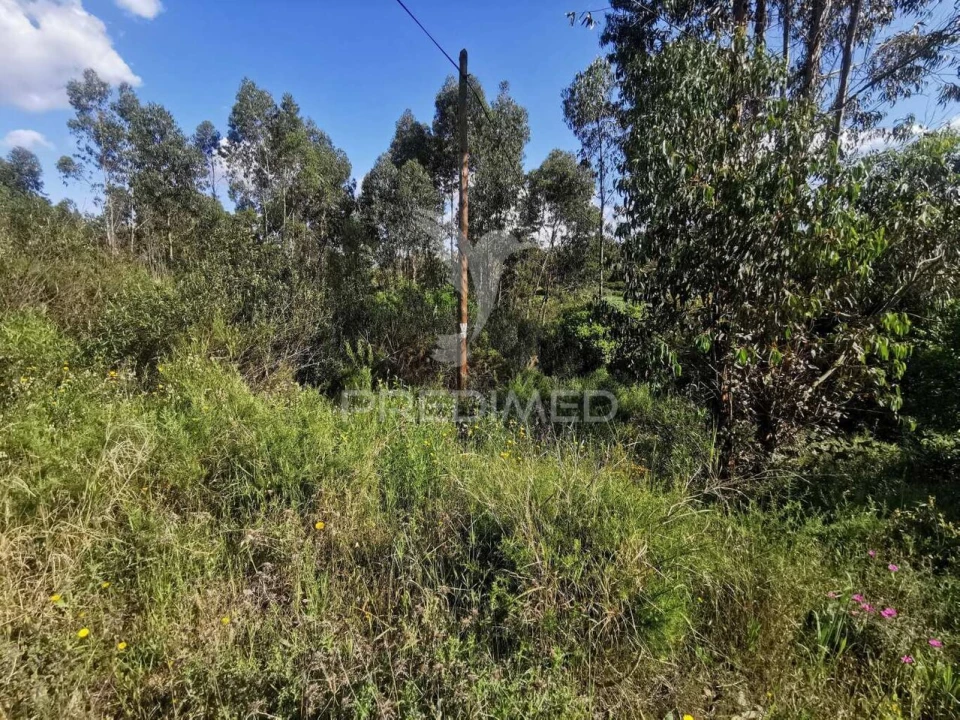Terreno para Venda em Praia do Ribatejo Foto 35